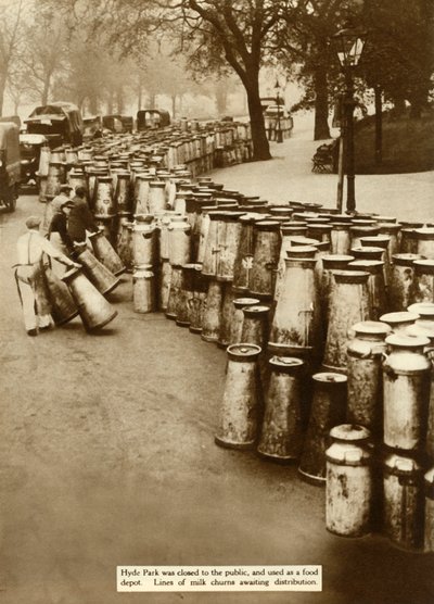 大罢工期间，海德公园的牛奶搅动，1926年，伦敦，1935年。 作者 不明