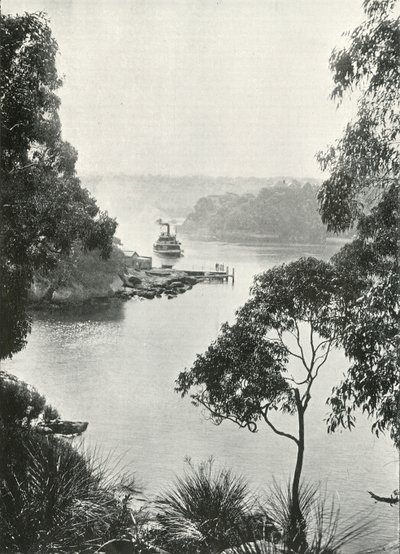 莫斯曼斯湾（Mosmans Bay），来自Cremorne码头，摄于1900年。 作者 不明