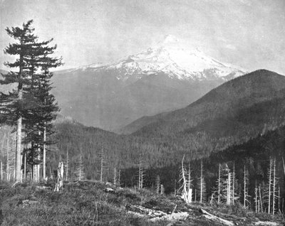 美国俄勒冈州胡德山，c1900。 作者 不明