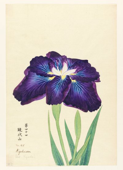 京代山（京代山） 作者 不明
