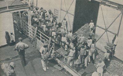 当地人在牙买加金斯敦装载香蕉，赞美苏格兰诗篇，1937年 作者 不明