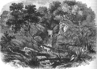 新西兰风景，c1880 作者 不明