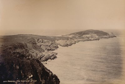 纽基。岬角，1929年。 作者 不明