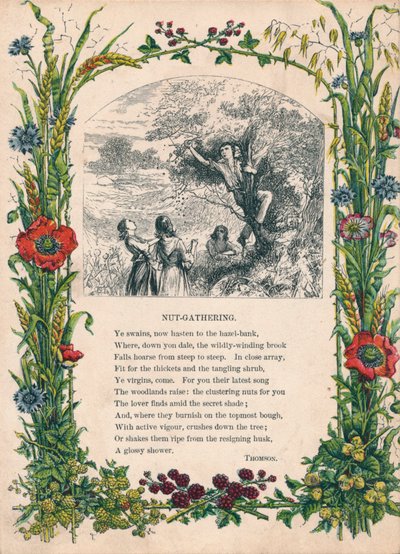 汤姆森（Thomson）摄制的《坚果聚集》，1900年 作者 不明
