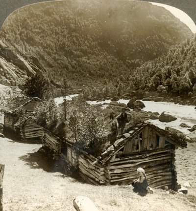老木屋在Bratslandsdal，有树生长在草皮隐蔽的屋顶的，挪威，c1905。 作者 不明