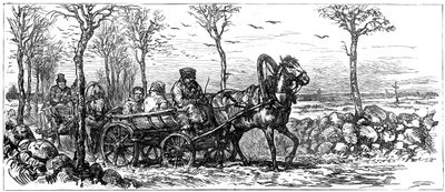 1882年，在俄罗斯圣彼得堡附近的道路上 作者 不明