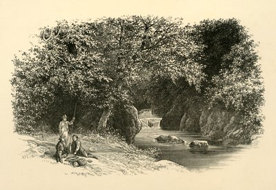 在达令（Dargle），大约在1890年。 作者 不明