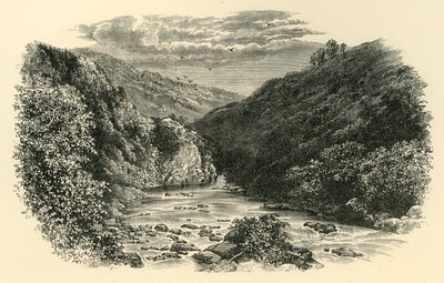 在飞镖上，情人飞跃，摄于1890年。 作者 不明