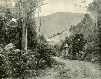 新南威尔士州伊拉瓦拉路上，1901年。 作者 不明