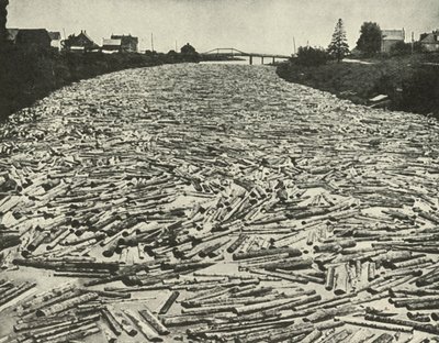 1948年，在通往锯木厂的路上。 作者 不明
