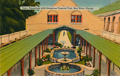 佛罗里达州基韦斯特，观赏华丽热带鱼的开放式水族馆，建于1940年代 作者 不明