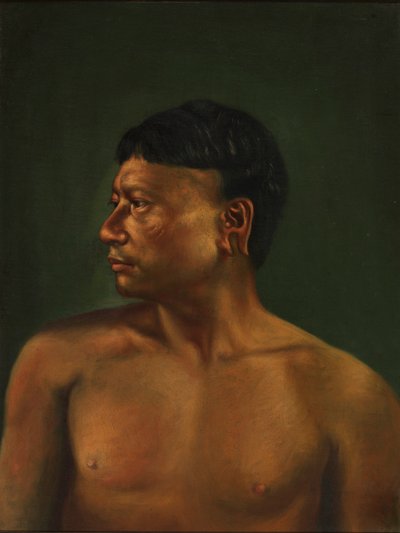 奥雷洪印第安人，约1890-1892年。 作者 不明
