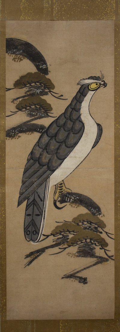 松树上的猎鹰的大津绘，18世纪。 作者 不明