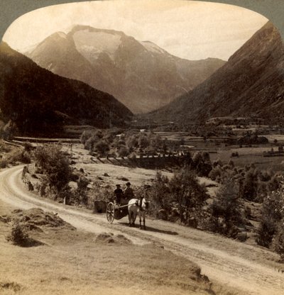 在Skaare附近的Vide Valley肥沃的土地上，到Skaalas先生冰冷的高度6360英尺。挪威，19 作者 不明