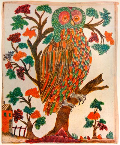 猫头鹰，1800年 作者 不明