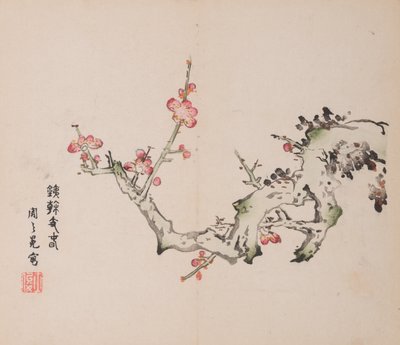 石竹斋的页面。 作者 不明