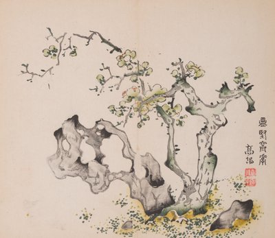 石竹斋的页面。 作者 不明