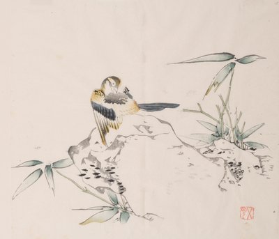 石竹斋的页面。 作者 不明