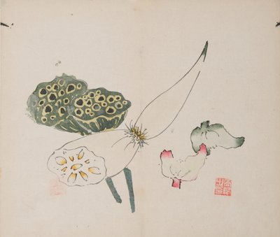 石竹斋的页面。 作者 不明