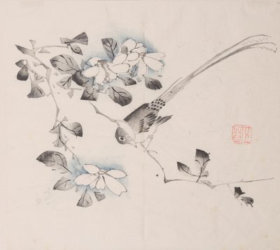 石竹斋的页面。 作者 不明