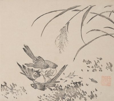 石竹斋的页面。 作者 不明