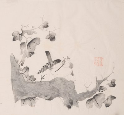 石竹斋的页面。 作者 不明
