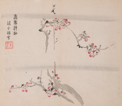 石竹斋的页面。 作者 不明