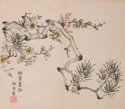 石竹斋的页面。 作者 不明