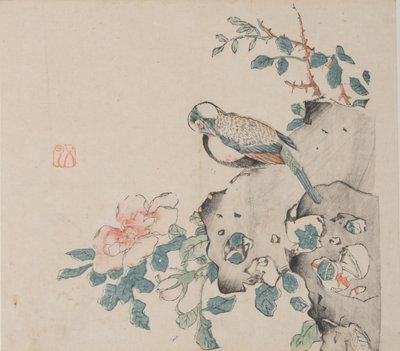 石竹斋的页面。 作者 不明