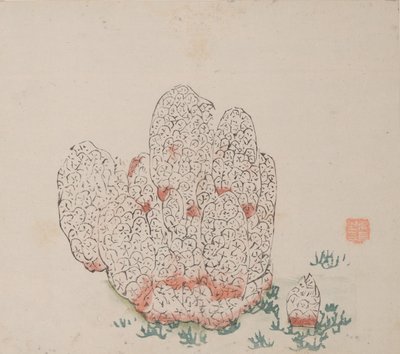 石竹斋的页面。 作者 不明