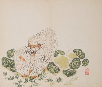 石竹斋的页面。 作者 不明