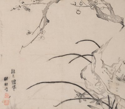 石竹斋的页面。 作者 不明