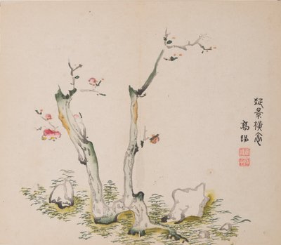 石竹斋的页面。 作者 不明