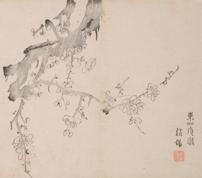 石竹斋的页面。 作者 不明