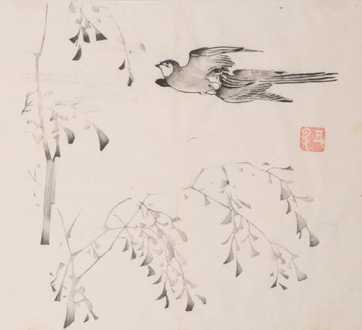 石竹斋的页面。 作者 不明