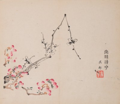 石竹斋的页面。 作者 不明