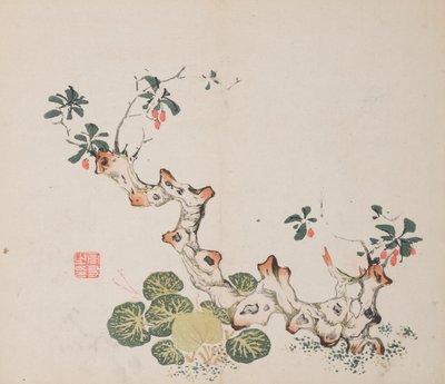 石竹斋的页面。 作者 不明