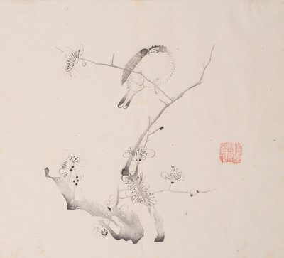 石竹斋的页面。 作者 不明