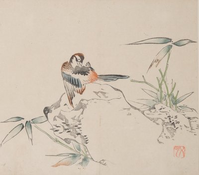 石竹斋的页面。 作者 不明