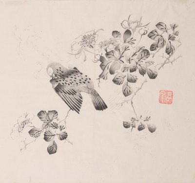石竹斋的页面。 作者 不明