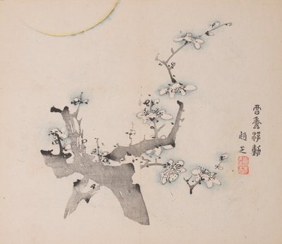 石竹斋的页面。 作者 不明