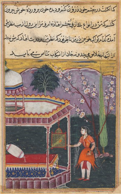 从鹦鹉的故事中传来的页Tuti-nama：第八天晚上：鹦鹉写给Khujasta ...，1558-1560年。 作者 不明