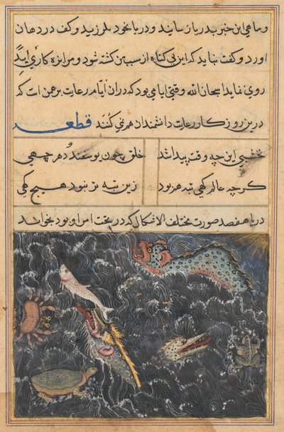 鹦鹉图蒂-纳玛人的故事中的页面：第十一个夜晚：海洋生物，c。 1560。 作者 不明