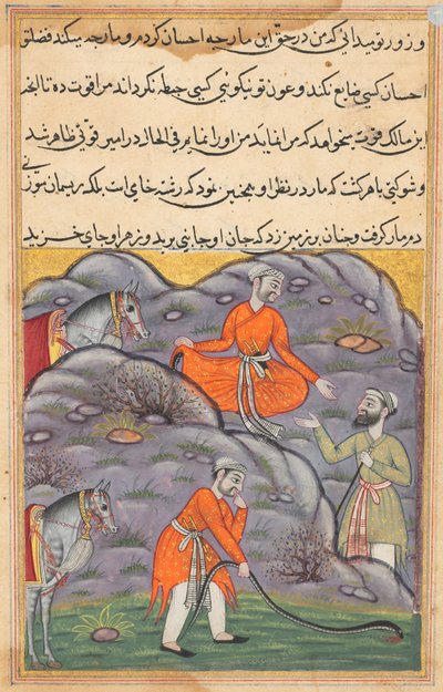 鹦鹉图蒂-娜玛的故事中的页面：第四十五夜：阿米尔（Amir）杀死了蛇...，c。 1560。 作者 不明