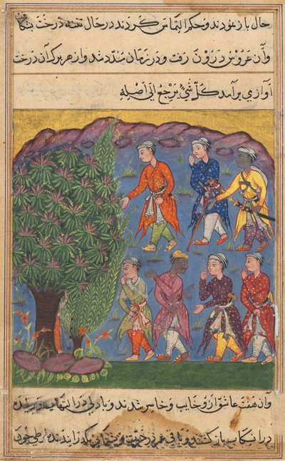 鹦鹉图蒂娜玛的故事中的页面：第六夜：七个人争夺财产……，c。 1560。 作者 Unbekannt