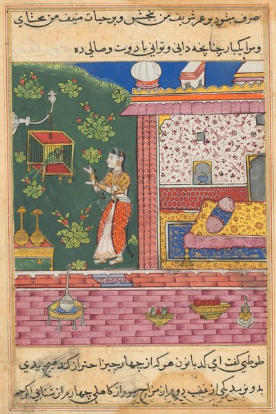 从鹦鹉的故事中传来的页Tuti-nama：第三十个晚上：鹦鹉在Khujasta ...，c。 1560。 作者 不明