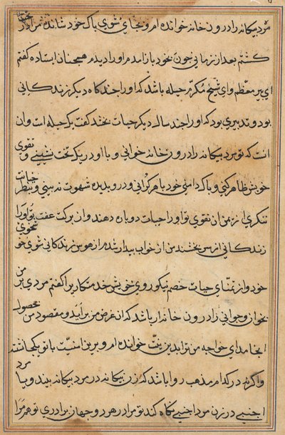 鹦鹉的故事》中的一页Tuti-nama：文本页，约1560年。 作者 不明