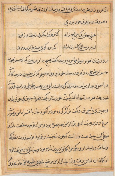 鹦鹉的故事》中的一页Tuti-nama：文本页，约1560年。 作者 不明