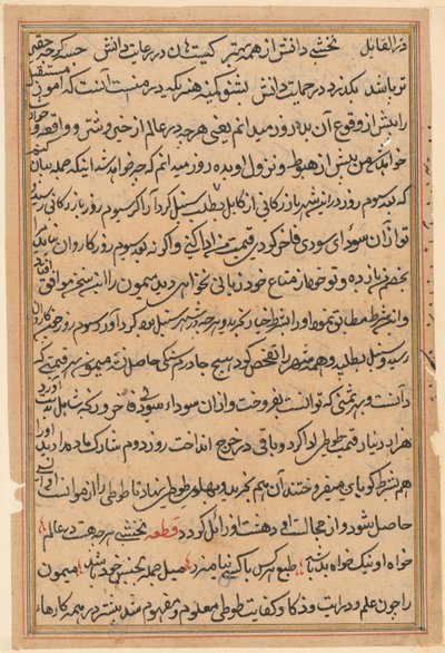 鹦鹉的故事》中的一页Tuti-nama：文本页，约1560年。 作者 不明