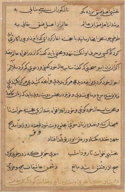 鹦鹉的故事》中的一页Tuti-nama：文本页，约1560年。 作者 不明
